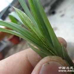 写给小学生的正能量句子精选78句