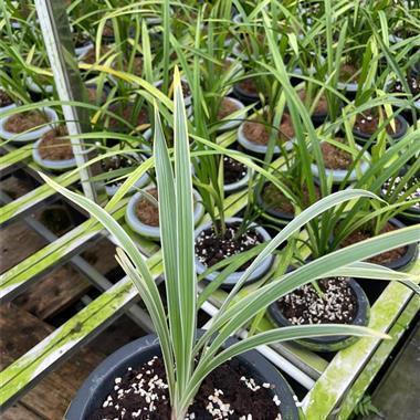 2021懂得感恩的正能量句子汇总68句