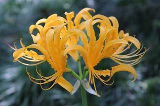 父母辛苦了感恩的话 感恩父母的句子(精选34句)