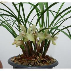 表达自己对朋友失望的句子说说心情