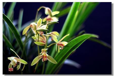 知足而幸福的唯美句子 愿往后余生的暖心句子(精选53句)