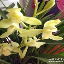 祝母亲节快乐的话 母亲节寄语