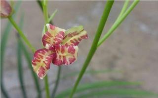 运动后幽默说说 适合运动发朋友圈的句子(精选68句)