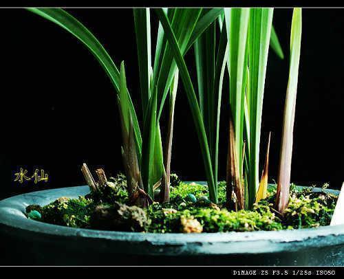 中考积极正能量祝福寄语一句话合集86句