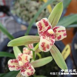 适合微商发朋友圈的励志正能量文案
