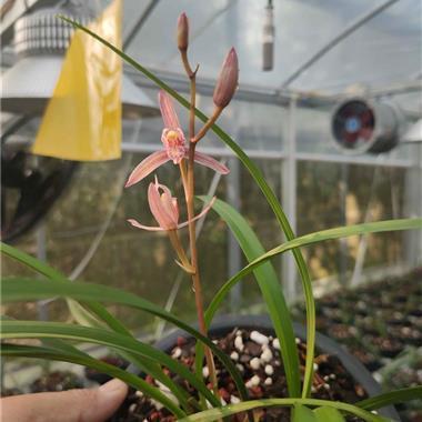 对失望说的句子说说