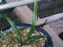 2021最新爱情句子91句