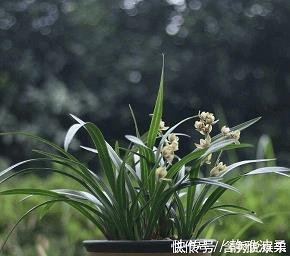 表达怀旧的简短句子