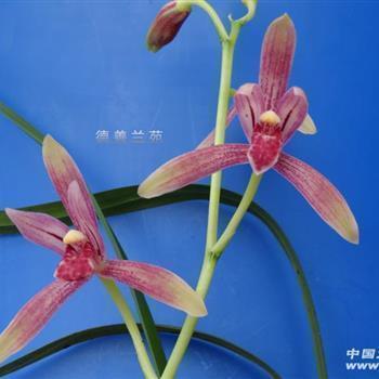 想要幸福的说说短语大全