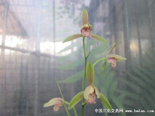 迎接一天正能量的句子26句