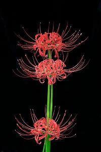 年后第一天上班心情说说100句