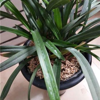 经典唯美长句子73句