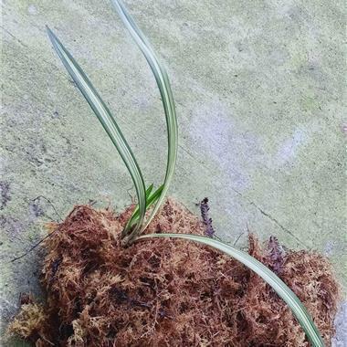 雨景句子唯美简短 下雨天意境很美的诗句精选64句