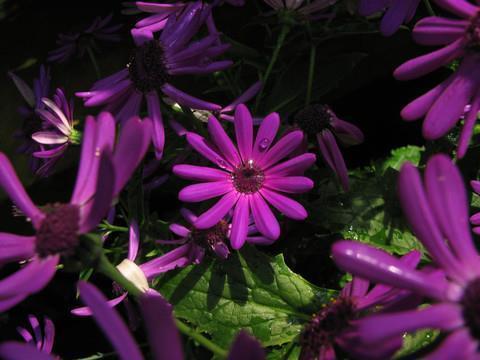 爱的，不爱的一直在告别中 心里很爱你的句子