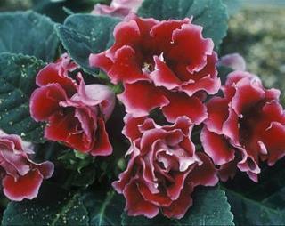 2021秋天发朋友圈的短句(精选73句)