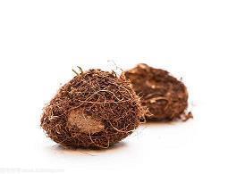 翟鸿燊经典语录大全