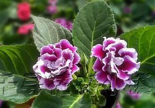 回忆往事的感慨句子 回忆往事的说说推荐65句