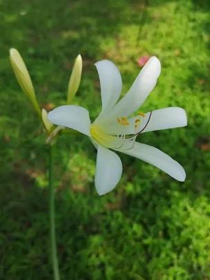 献血后适合发朋友圈一句话(精选31句)