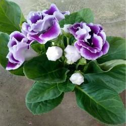 2021唯美句子简短大全