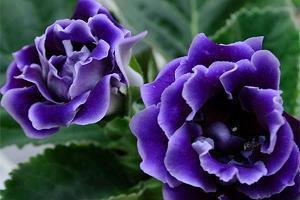 表示很后悔的句子