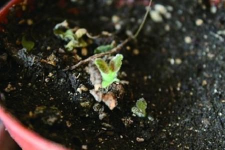 自己都对自己失望的句子