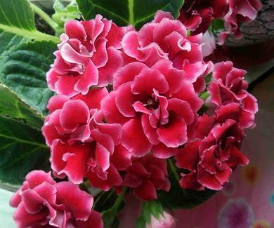 分手后要开心的句子 分手了高兴的句子