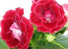 简短又有韵味的句子