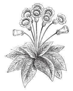 纪念九一八缅怀先烈文案(精选80句)