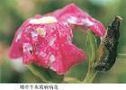 触动人心的句子 触动人心伤感的句子(精选22句)