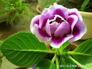 青春逝去的经典句子