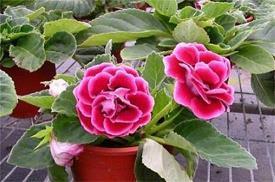 励志说说心情语录精选34句