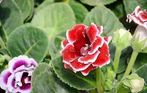 发朋友圈彻底心寒的句子(精选29句)