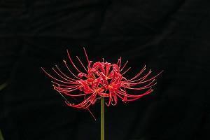 抖音高考加油的那段话 抖音高考励志文案汇编45句