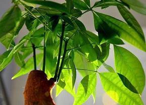 迎接2021的朋友圈句子44句