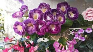 久而久之的说说图片 久而久之我们就淡了的说说