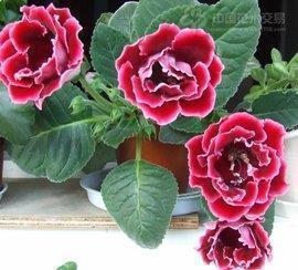 2021年3月份优美语句摘抄