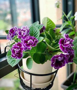镜花水月的意思是什么 镜花水月造句 镜花水月的近义词