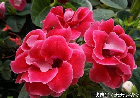 独一无二的唯美网名