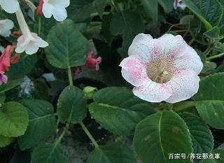 绝情的失恋句子