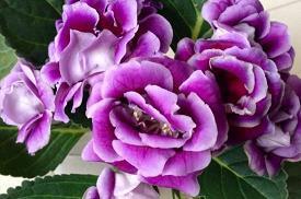 句句走心说到心坎里 2021最新说说大全致自己