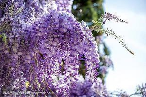 适合早安的经典语录 早上正能量的短句合集74句