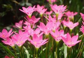 2021年春节励志温馨祝福文案