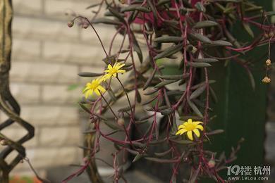 突然一刻心酸的句子 一秒泪崩的句子41句