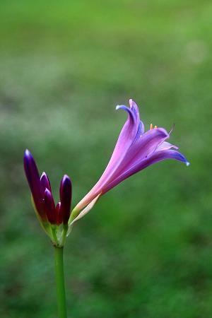 表示对女朋友有点失望的句子