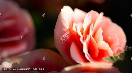2021想哭的伤感说说79句