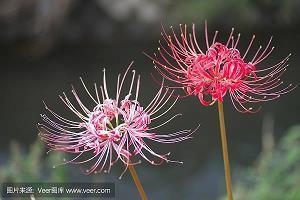 描写内心平静的句子25句