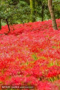 瞬间泪崩的伤感句子收集13句