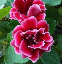 鼓励人的经典句子