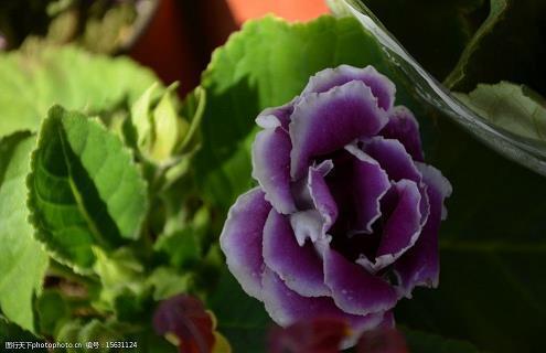 关于理想的唯美句子合集85句