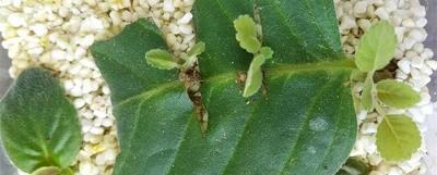 高考正能量短句 非常霸气的高三励志语精选74句